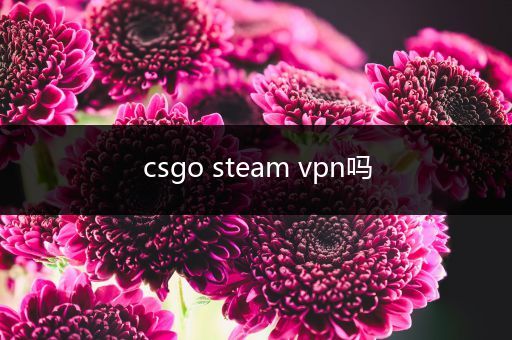 csgo steam vpn吗