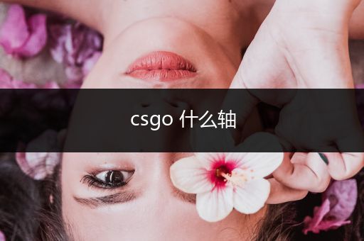 csgo 什么轴