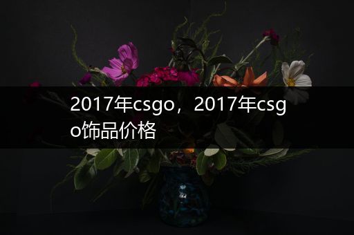 2017年csgo，2017年csgo饰品价格