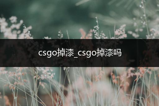 csgo掉漆_csgo掉漆吗