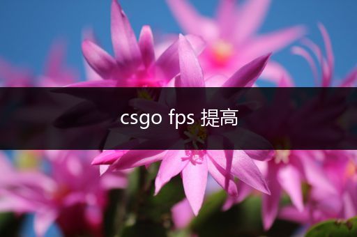 csgo fps 提高