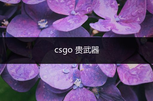 csgo 贵武器