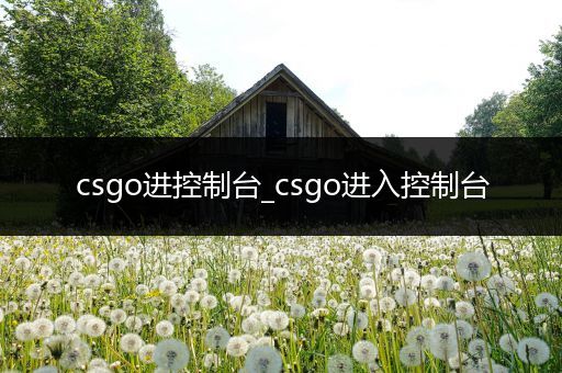 csgo进控制台_csgo进入控制台