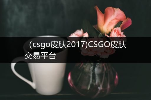 （csgo皮肤2017)CSGO皮肤交易平台