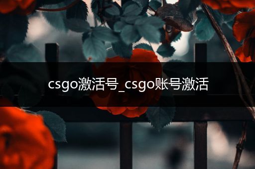 csgo激活号_csgo账号激活