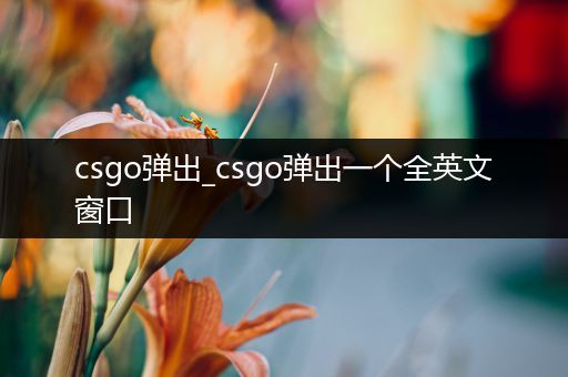 csgo弹出_csgo弹出一个全英文窗口