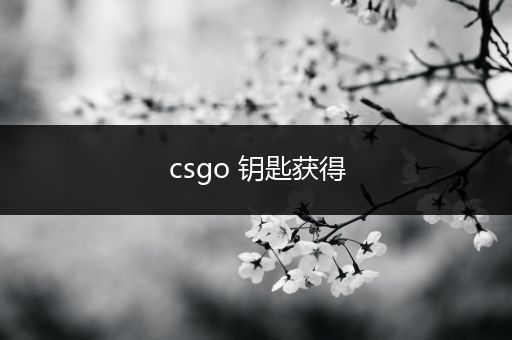 csgo 钥匙获得