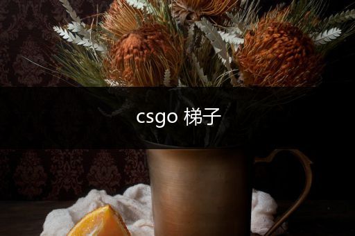 csgo 梯子