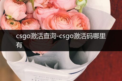 csgo激活查询-csgo激活码哪里有