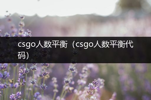 csgo人数平衡（csgo人数平衡代码）