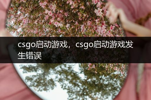 csgo启动游戏，csgo启动游戏发生错误