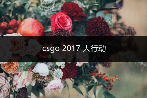 csgo 2017 大行动