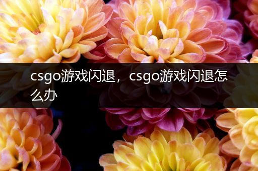 csgo游戏闪退，csgo游戏闪退怎么办