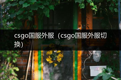 csgo国服外服（csgo国服外服切换）