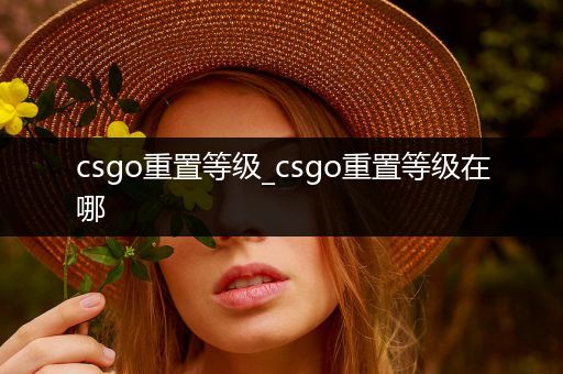 csgo重置等级_csgo重置等级在哪