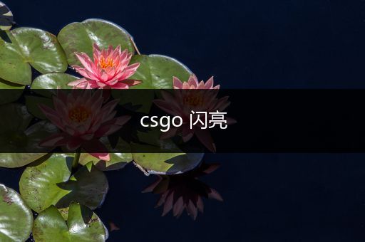 csgo 闪亮