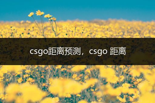 csgo距离预测，csgo 距离