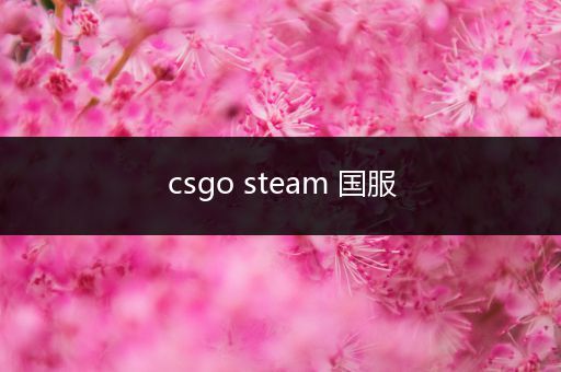 csgo steam 国服