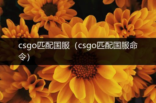 csgo匹配国服（csgo匹配国服命令）