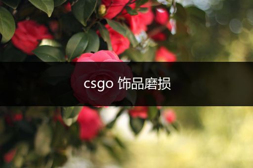 csgo 饰品磨损