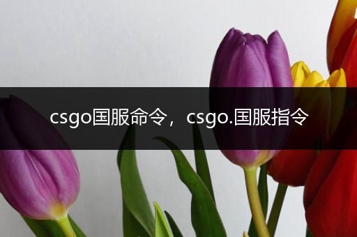 csgo国服命令，csgo.国服指令