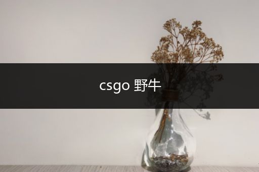 csgo 野牛