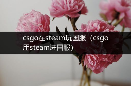 csgo在steam玩国服（csgo用steam进国服）