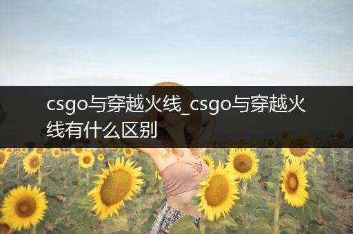 csgo与穿越火线_csgo与穿越火线有什么区别