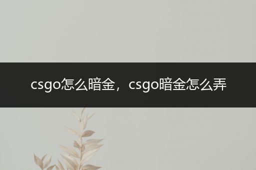 csgo怎么暗金，csgo暗金怎么弄