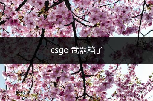 csgo 武器箱子