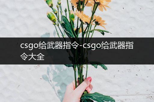 csgo给武器指令-csgo给武器指令大全