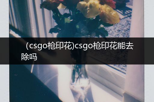 （csgo枪印花)csgo枪印花能去除吗