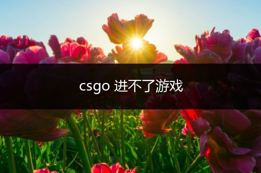 csgo 进不了游戏