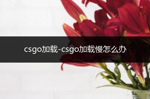 csgo加载-csgo加载慢怎么办