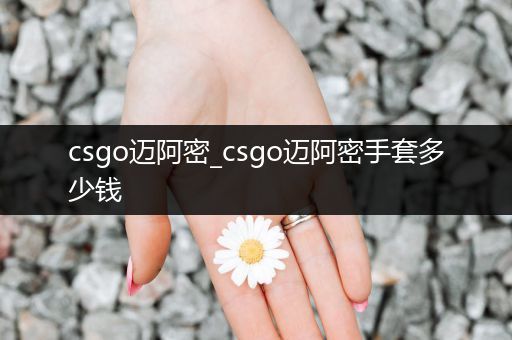 csgo迈阿密_csgo迈阿密手套多少钱