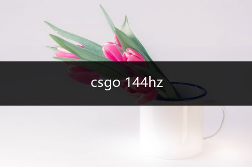 csgo 144hz