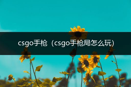 csgo手枪（csgo手枪局怎么玩）