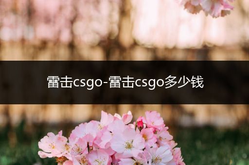 雷击csgo-雷击csgo多少钱