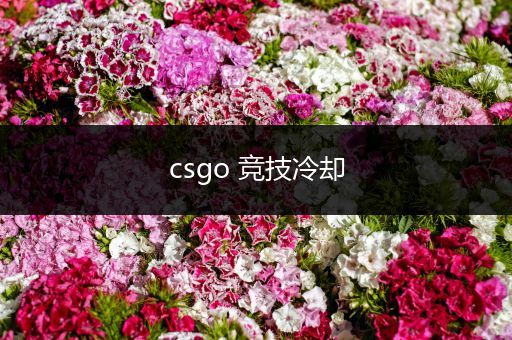 csgo 竞技冷却