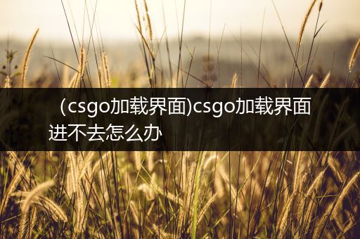 （csgo加载界面)csgo加载界面进不去怎么办