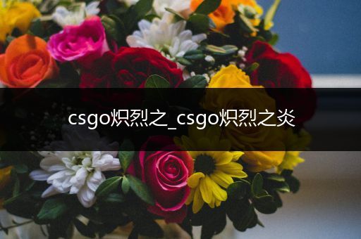 csgo炽烈之_csgo炽烈之炎