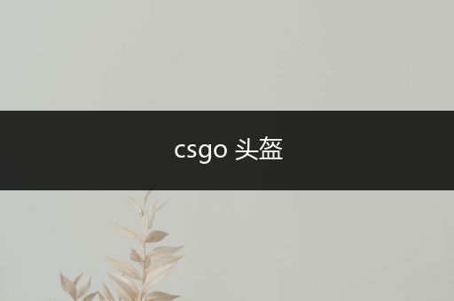 csgo 头盔