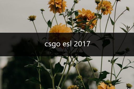 csgo esl 2017