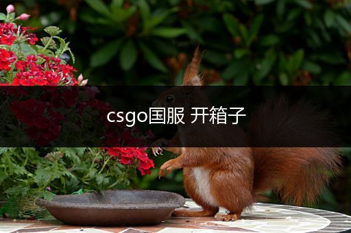 csgo国服 开箱子