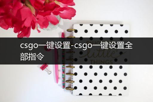 csgo一键设置-csgo一键设置全部指令