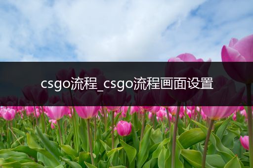 csgo流程_csgo流程画面设置