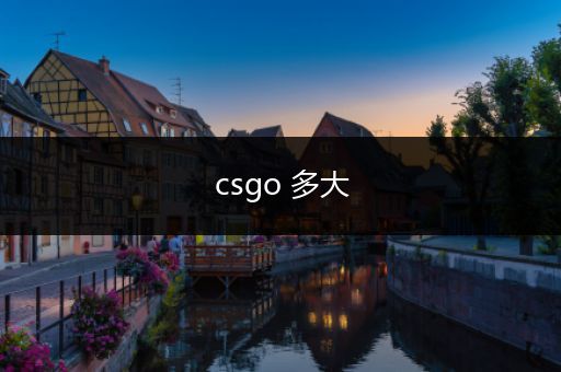 csgo 多大