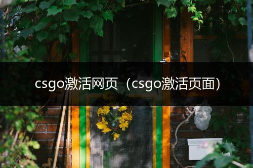 csgo激活网页（csgo激活页面）