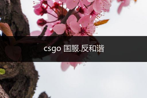 csgo 国服.反和谐