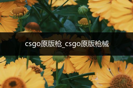 csgo原版枪_csgo原版枪械